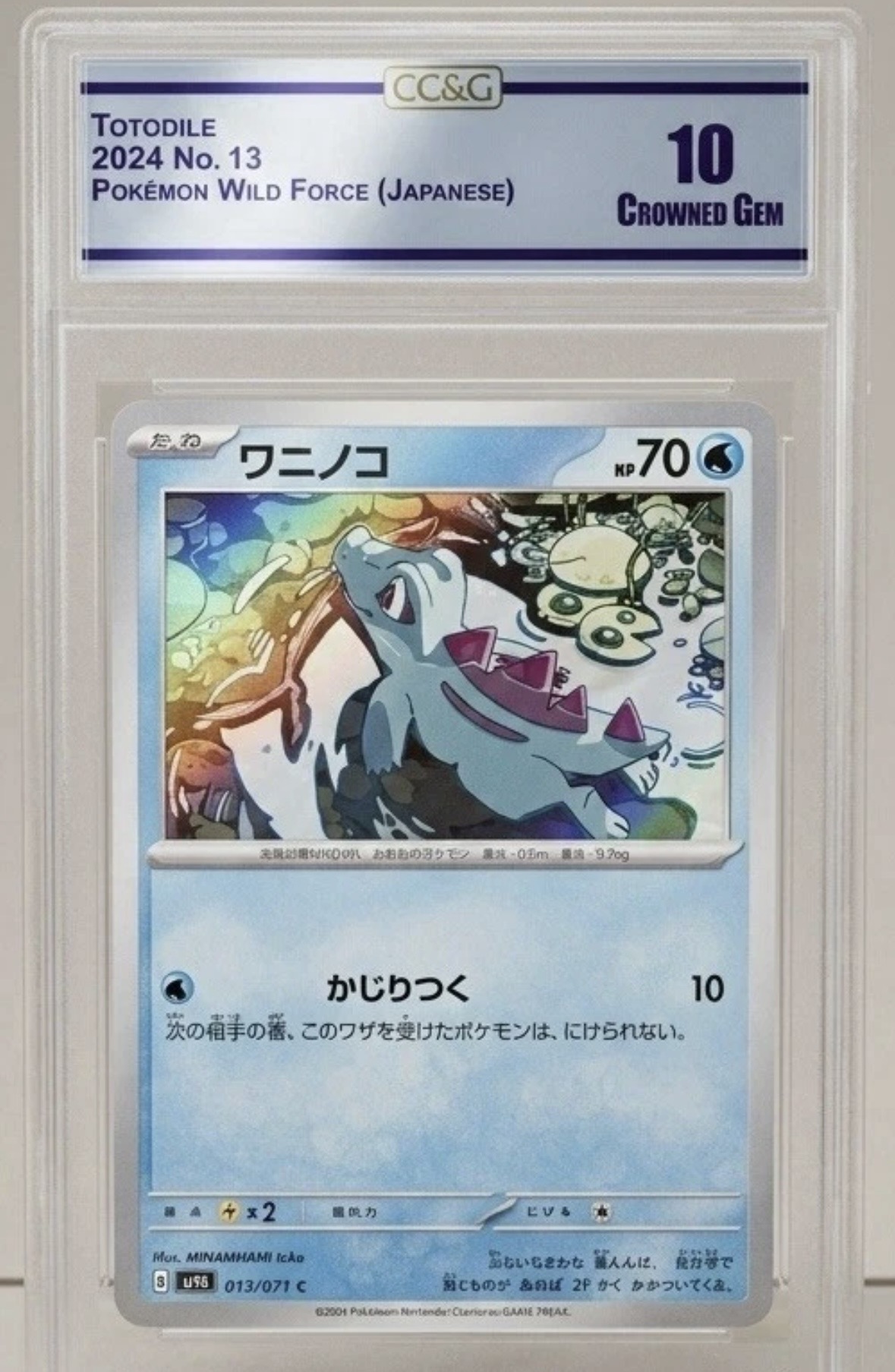 Old Crown slab - Totodile